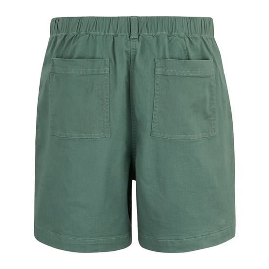 Regatta Dames Liza Shorts (Ivy Moss) - Image 2
