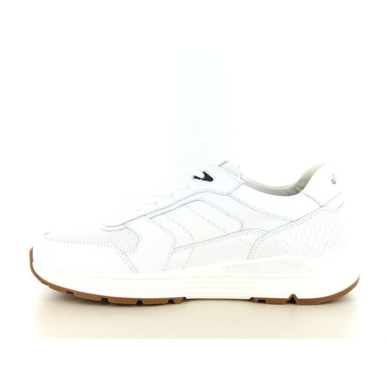 Australian Footwear Covilha - Image 6