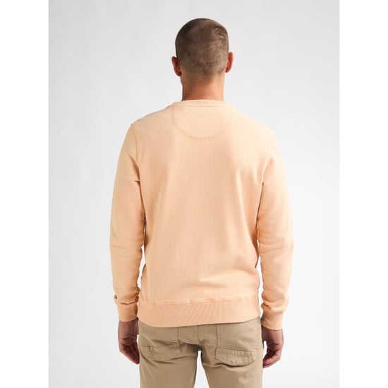 Petrol Industries Men sweater round neck - Image 2