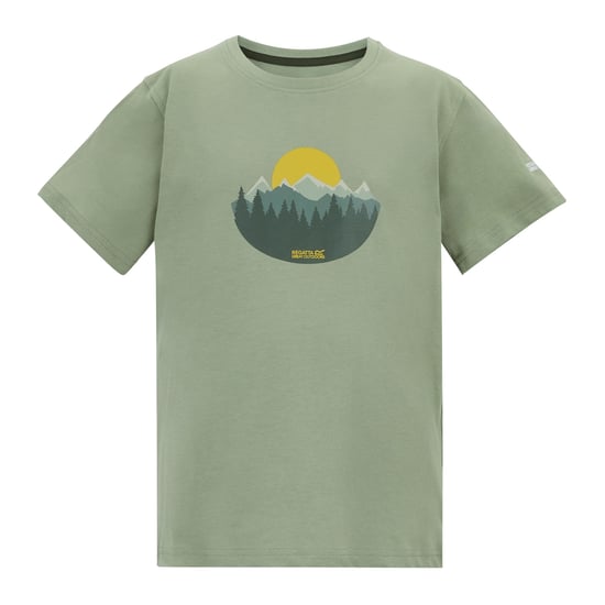 Regatta Kinderen/Kids Bosley Sunset T-Shirt (Sage Groen) - Image 1