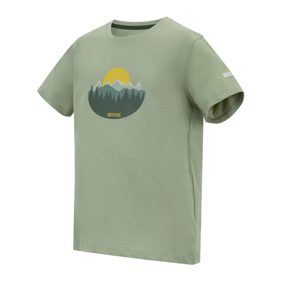 Regatta Kinderen/Kids Bosley Sunset T-Shirt (Sage Groen) - Image 3