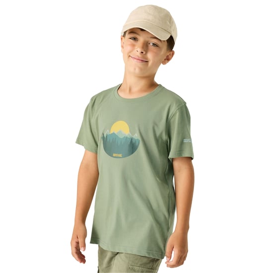 Regatta Kinderen/Kids Bosley Sunset T-Shirt (Sage Groen) - Image 4