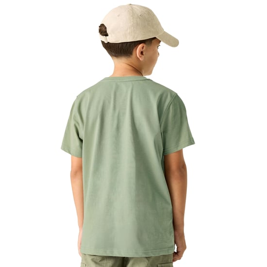Regatta Kinderen/Kids Bosley Sunset T-Shirt (Sage Groen) - Image 5
