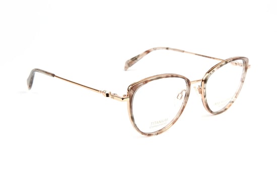 Ana Hickmann Optical Frame AH1480T G21 52 Titanium - Image 1