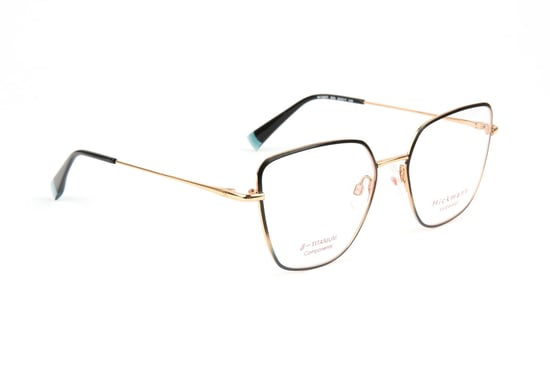 Ana Hickmann Optical Frame HI1263T 05A 53 Titanium - Image 1