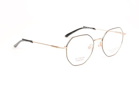 Ana Hickmann Optical Frame HIY1031T 09A 49 Titanium - Image 1