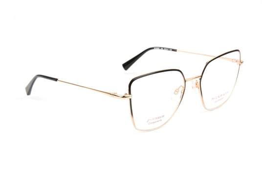 Ana Hickmann Optical Frame HI1263T 12A 53 Titanium - Image 1