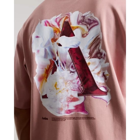 Aeden Evander tee ash rose - Image 3