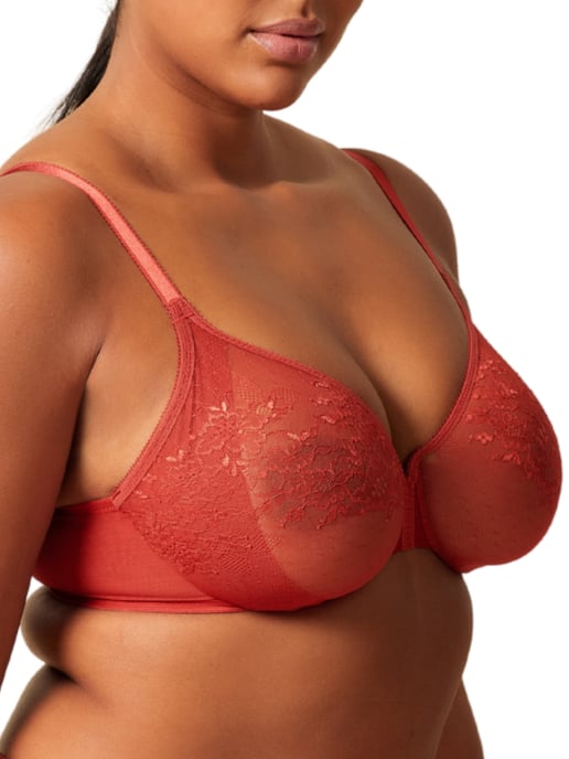 Glossies Lace Sheer Bra - Image 3