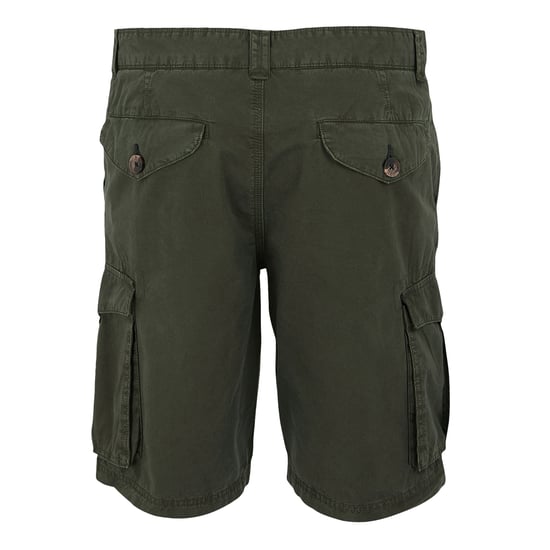 Regatta Heren shorebay ii cargo shorts - Image 2