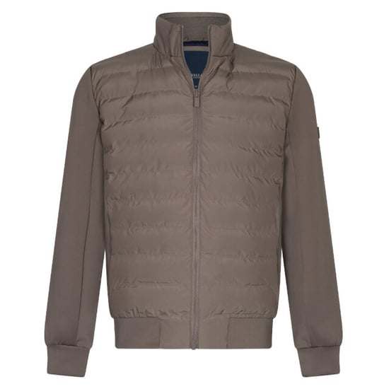 Cavallaro Vest 112261013 quintino - Image 1