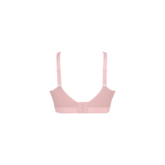 Anita Bustier - Image 5