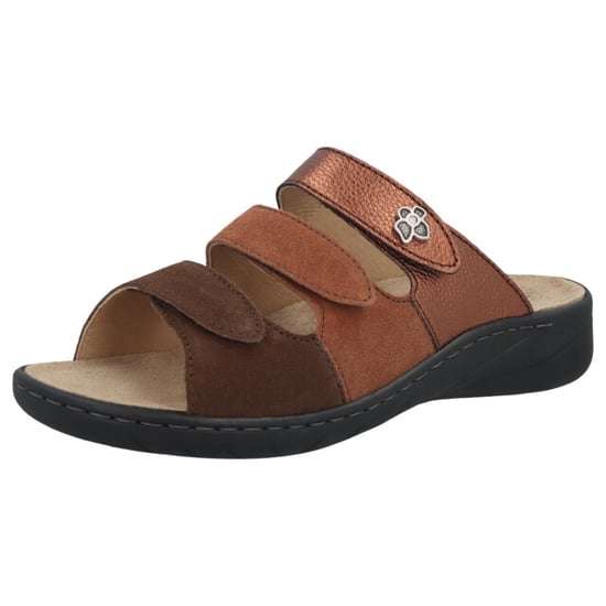 Solidus Wellness spezial - Image 1