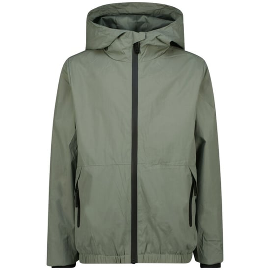 Raizzed Teale - - Image 1