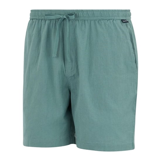 Regatta Heren Hadlin Shorts (Arctic) - Image 3