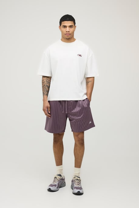 Regular Fit Striped Man Script Short - Image 3