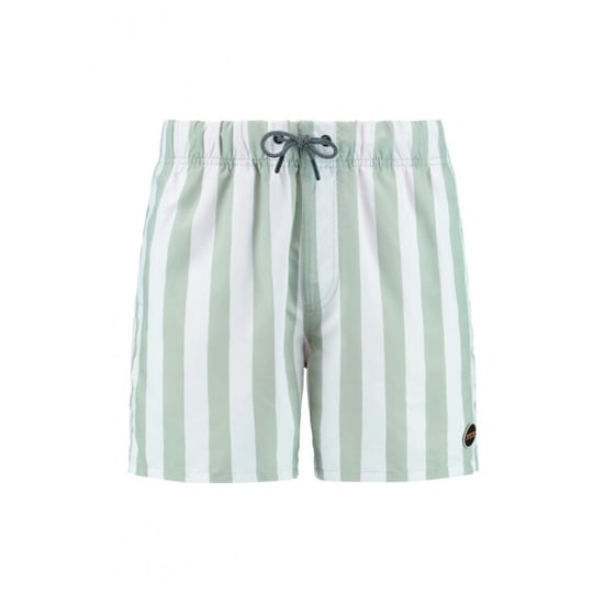 Shiwi 1441100200 broad stripe 7810 green dust stripe swim short - Image 3