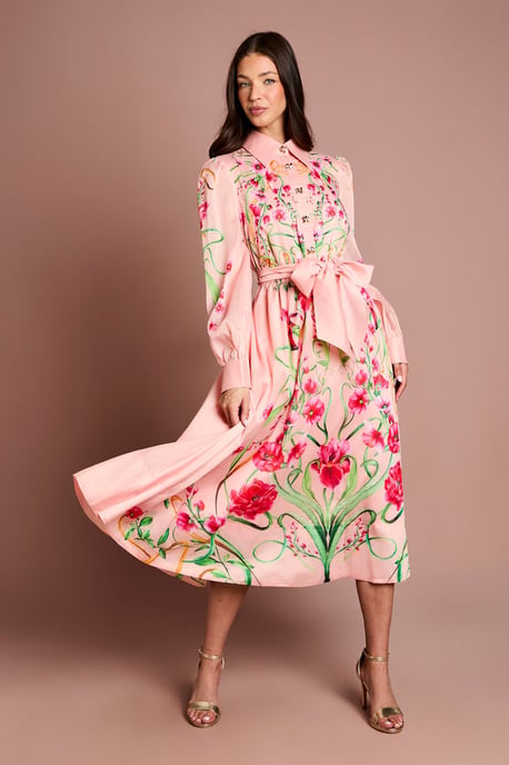Boarder Print Organza Shirt Dress - Image 1