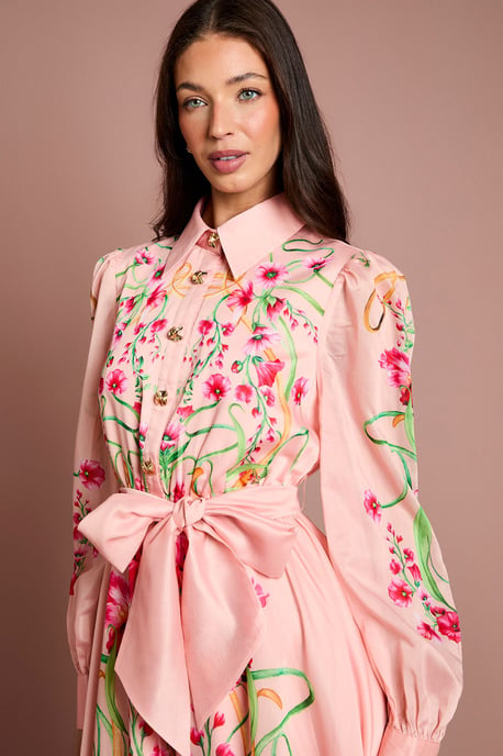 Boarder Print Organza Shirt Dress - Image 3