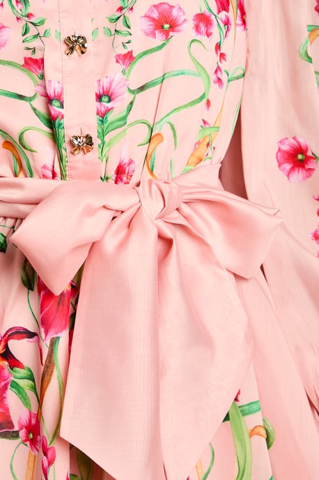 Boarder Print Organza Shirt Dress - Image 4