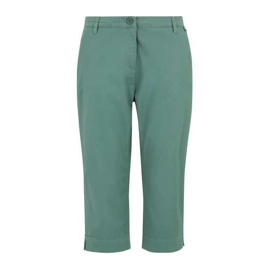 Regatta Womens/Ladies Bayletta Capri Trousers (Ivy Moss) - Image 1