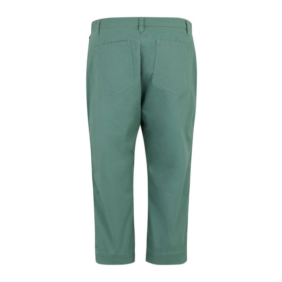 Regatta Womens/Ladies Bayletta Capri Trousers (Ivy Moss) - Image 2