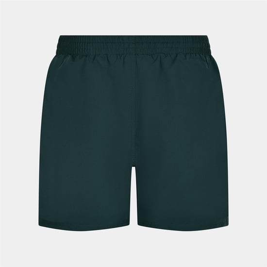 Nike Core 5” Volley Swim Shorts Green - Image 3