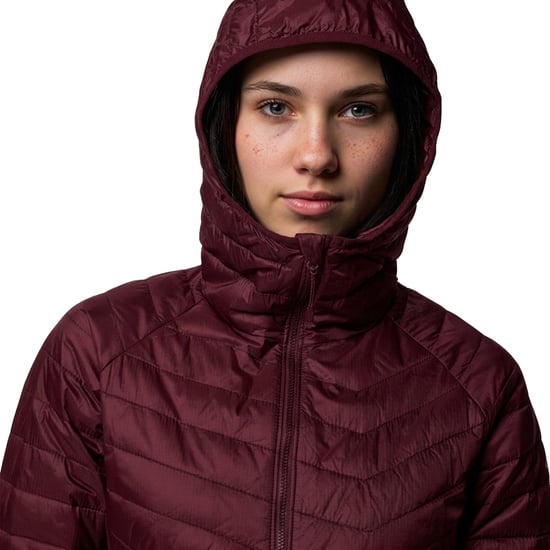 Women's Hybrid Padded Jacket with Hood Powder Pass™ II 2126122 - Image 6