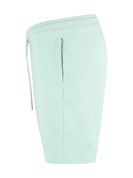 Luke 1977 Men's Index Jersey Shorts in Mint - Image 5