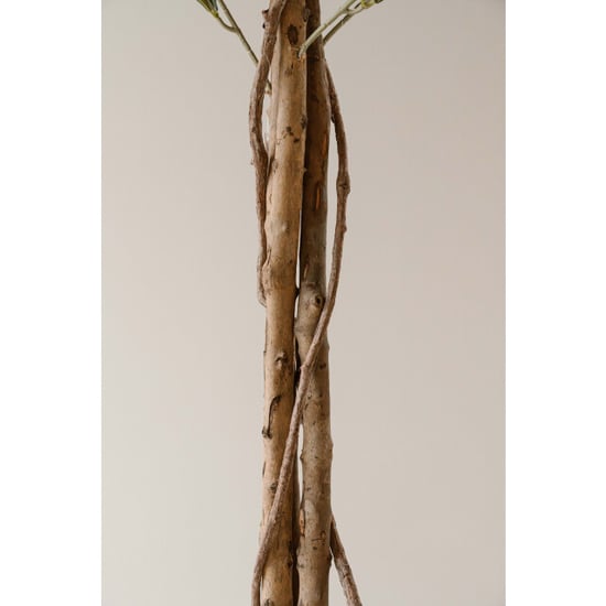 Indore Home kunst olijfboom 180cm - Image 5