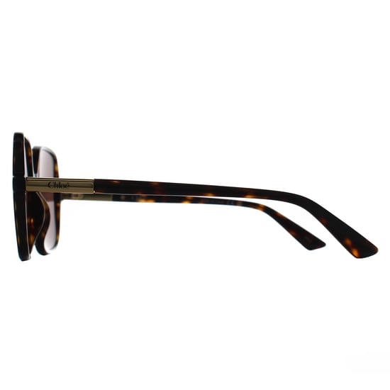 Chloe Square Womens Dark Havana Brown CH0362S - Image 3