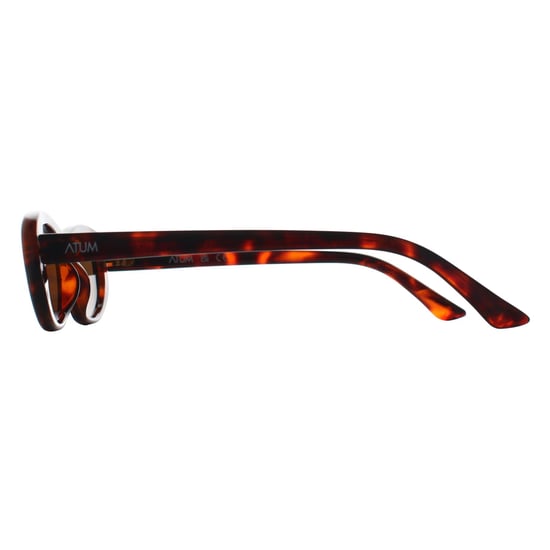 Atum Oval Womens Shiny Brown Tortoise Gold Brown Noctis - Image 3