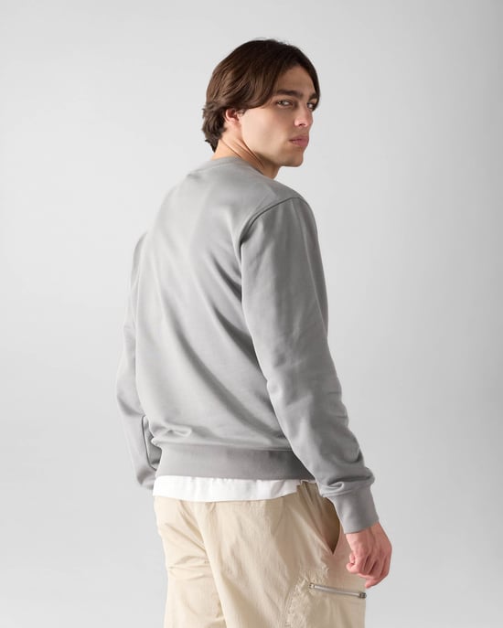 Hartsfield Crew Neck Sweatshirt in Grey - Image 3