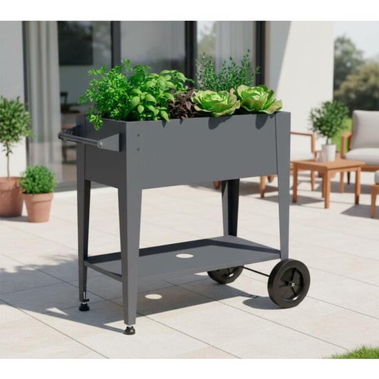 Westmann Mobila metalen verhoogde plantenbak op wielen - - Image 4