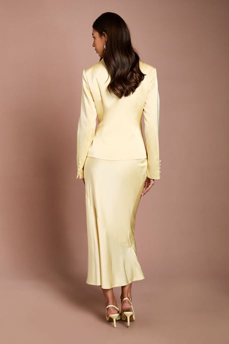Satin Detail Fitted Skirt - Image 3