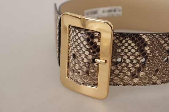 Dolce & Gabbana Brown Exotic Wide Waist Leather Gold Metal Buckle Belt - Image 4