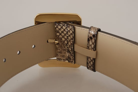 Dolce & Gabbana Brown Exotic Wide Waist Leather Gold Metal Buckle Belt - Image 5