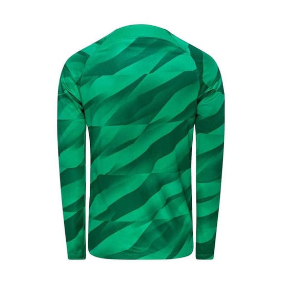 Nike Heren Paris Saint Germain FC keepershirt met lange mouwen (Groen) - Image 2