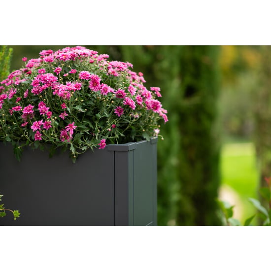 Westmann Talus l metalen plantenbak met bodem 100x25x52 cm - - Image 2