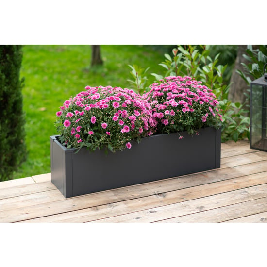 Westmann Talus m metalen plantenbak met bodem 100x25x27 cm - - Image 5