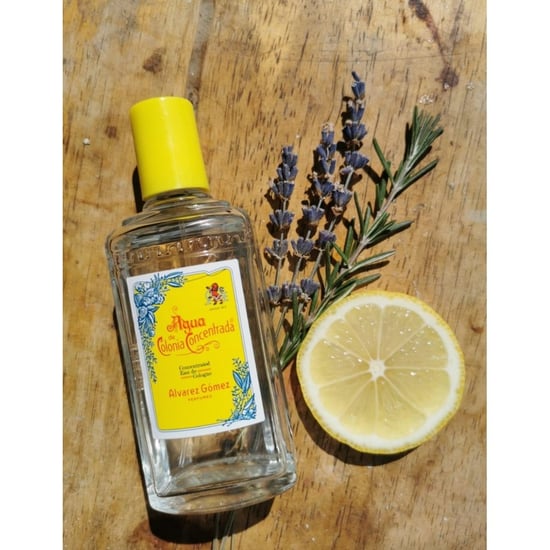 Alvarez Gomez Navullende 150ml EDC Spray - Image 3