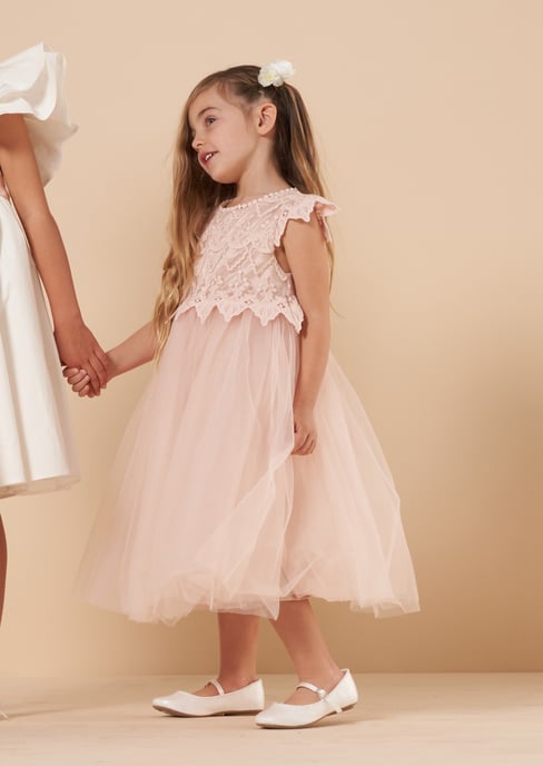 Lucy Lace Bodice Dress - Blush - Image 2