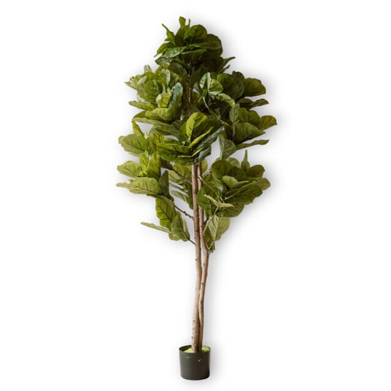 Indore Home Indore silva kunstplant vijg 150cm - Image 1
