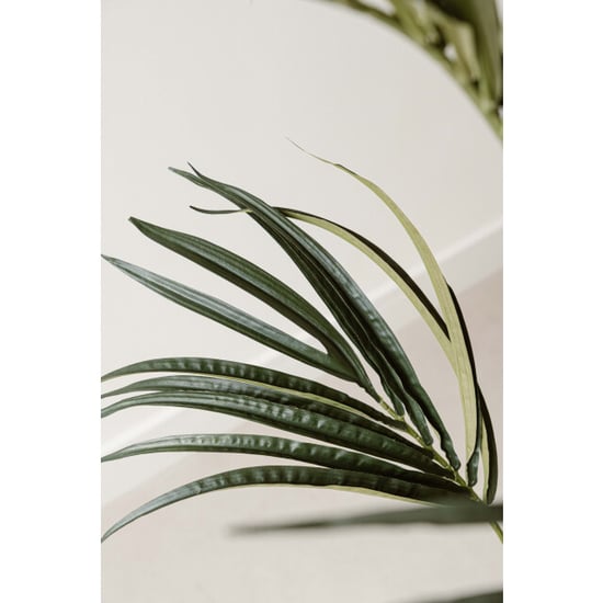 Indore Home Indore silva kunstplant kentia palm 180cm - Image 2
