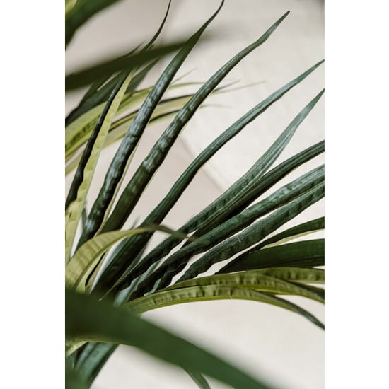 Indore Home Indore silva kunstplant kentia palm 180cm - Image 3