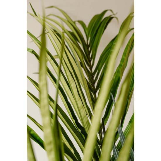 Indore Home Indore silva kunstplant kentia palm 180cm - Image 4