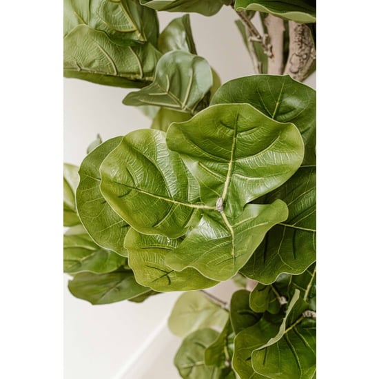 Indore Home Indore silva kunstplant vijg 150cm - Image 4