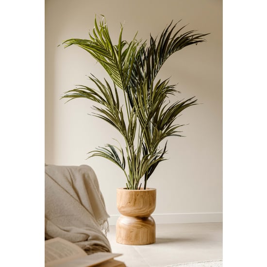 Indore Home Indore silva kunstplant kentia palm 180cm - Image 5
