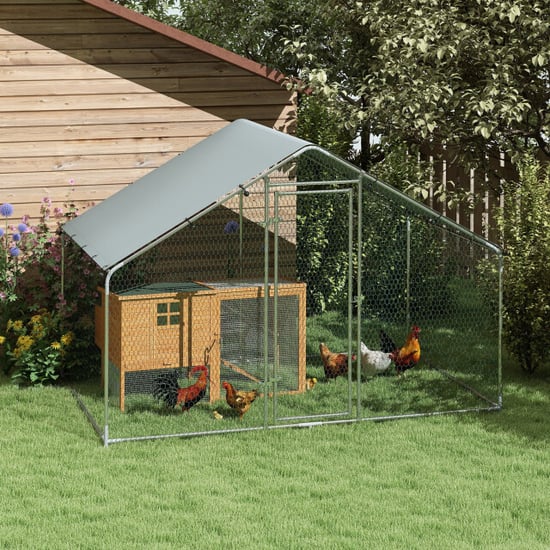 4goodz Kippenren met uv-bestendig zeil en gaas voor 5-8 kippen 300x170 cm - Image 2
