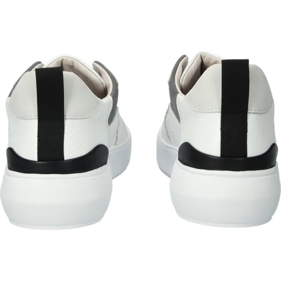 Blackstone Zg11 - Image 2